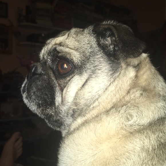 Meet your Posher, Lance - Picture 5 of 11